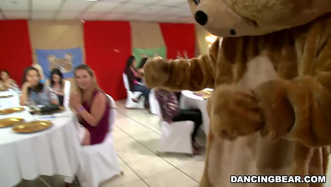 Rejoignez les festivités de la célèbre Dancing Bear !