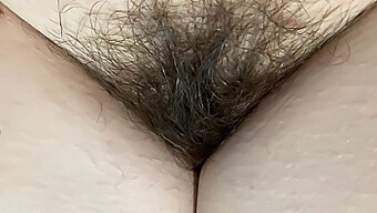 Intense close-up of my unshaved genital area in high-definition video with fetish focus on hairiness