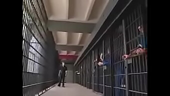 Sexe De Groupe Dans Un Cadre De Prison