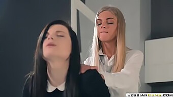 Glamorous Lesbians Engage In Mutual Masturbation And Pussy Play